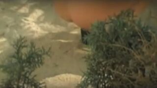 3 girls drop logs on beach, ScatKings.com Scat Porn 7 ScatKings.com Scat Porn