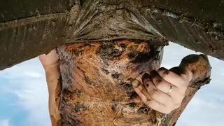 Cowshit smear 4, ScatKings.com Scat Porn 8 ScatKings.com Scat Porn