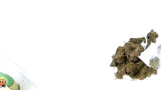 EE-226 9, ScatKings.com Scat Porn 14 ScatKings.com Scat Porn
