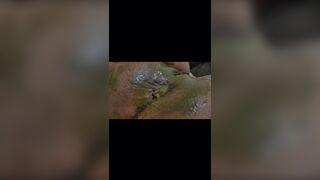 Ebony poop - video 45, ScatKings.com Scat Porn 5 ScatKings.com Scat Porn