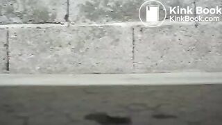 F_Parking, ScatKings.com Scat Porn 1 ScatKings.com Scat Porn