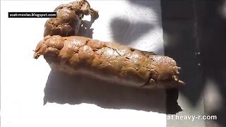 Huge Smooth Turd, ScatKings.com Scat Porn 20 ScatKings.com Scat Porn
