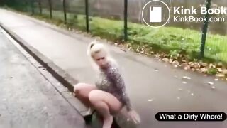 OUTDOOR SCAT SHIT & PISS SLUTS COMPILATION, ScatKings.com Scat Porn 8 ScatKings.com Scat Porn