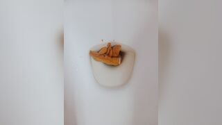 Poop - video 5, ScatKings.com Scat Porn 13 ScatKings.com Scat Porn
