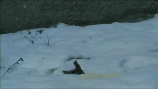 Relieving herself in the snow.., ScatKings.com Scat Porn 19 ScatKings.com Scat Porn