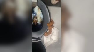 nasty girl misses the toilet bowl while taking a shit !, ScatKings.com Scat Porn 9 ScatKings.com Scat Porn