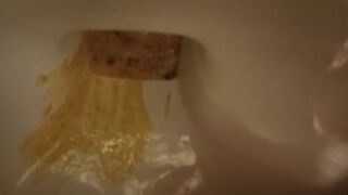 trip 7 :-D, ScatKings.com Scat Porn 4 ScatKings.com Scat Porn